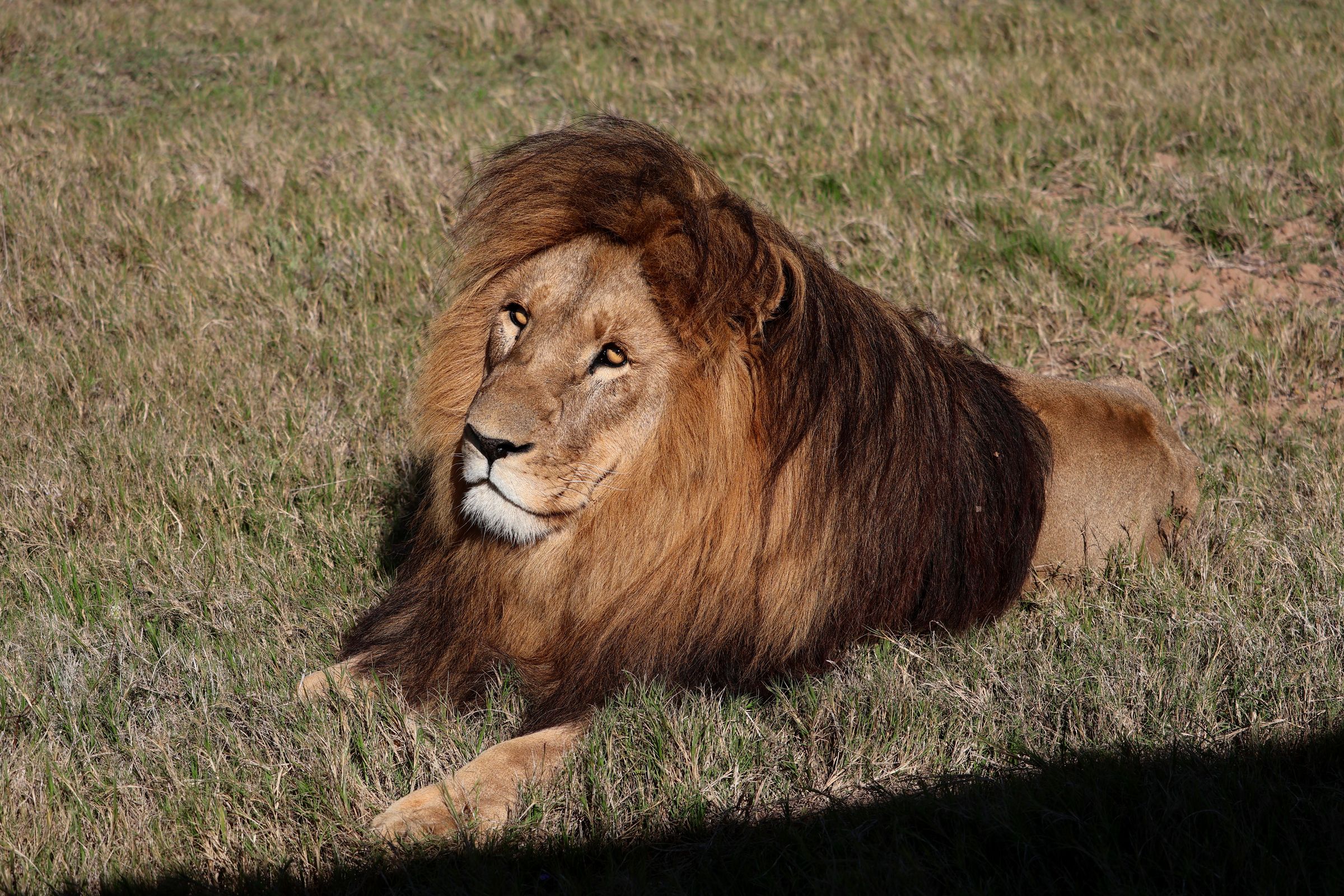 Tag 12 – Schotia Safaris Tag 12 – Schotia Safaris